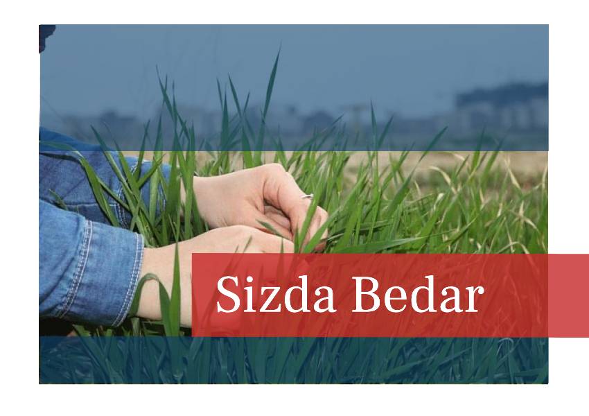 Sizda Bedar