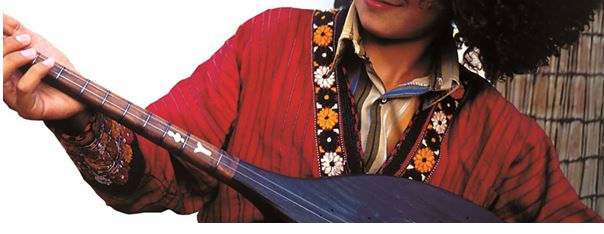 Skills of Crafting and Playing Iranian Dotār