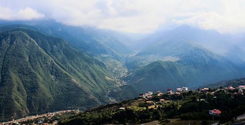 2000 and 3000 Forests