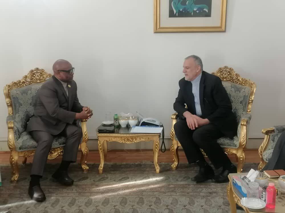 Iran backs strengthening economic cooperation within D8 framework