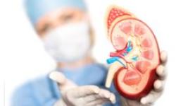 Kidney Stone Surgery