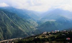 2000 and 3000 Forests