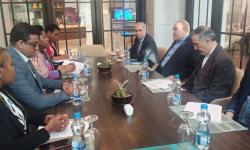 Iranian deputy FM for economic diplomacy meets high-ranking