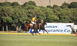 Polo, Iranian Royal Game