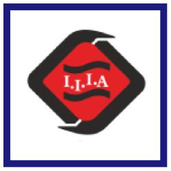 Iranian Institutional Investors Association