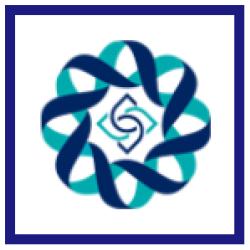 National Development Fund of Islamic republic of Iran