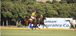 Polo, Iranian Royal Game
